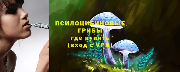 мдпв Дмитров