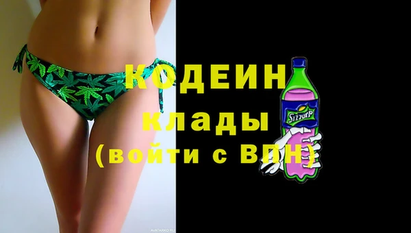 мдпв Дмитров