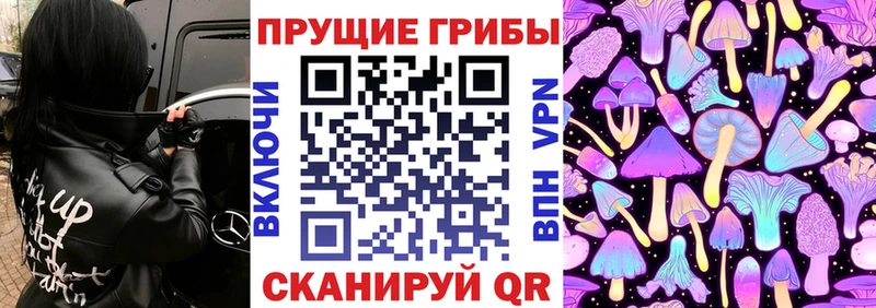 нарко площадка телеграм  KRAKEN зеркало  Рубцовск  Псилоцибиновые грибы мухоморы 